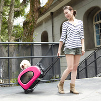 5-in-1 Combo EVA Pet Carrier Stroller Backpack