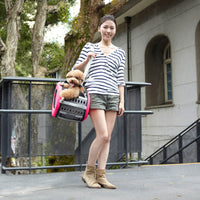 5-in-1 Combo EVA Pet Carrier Stroller Backpack