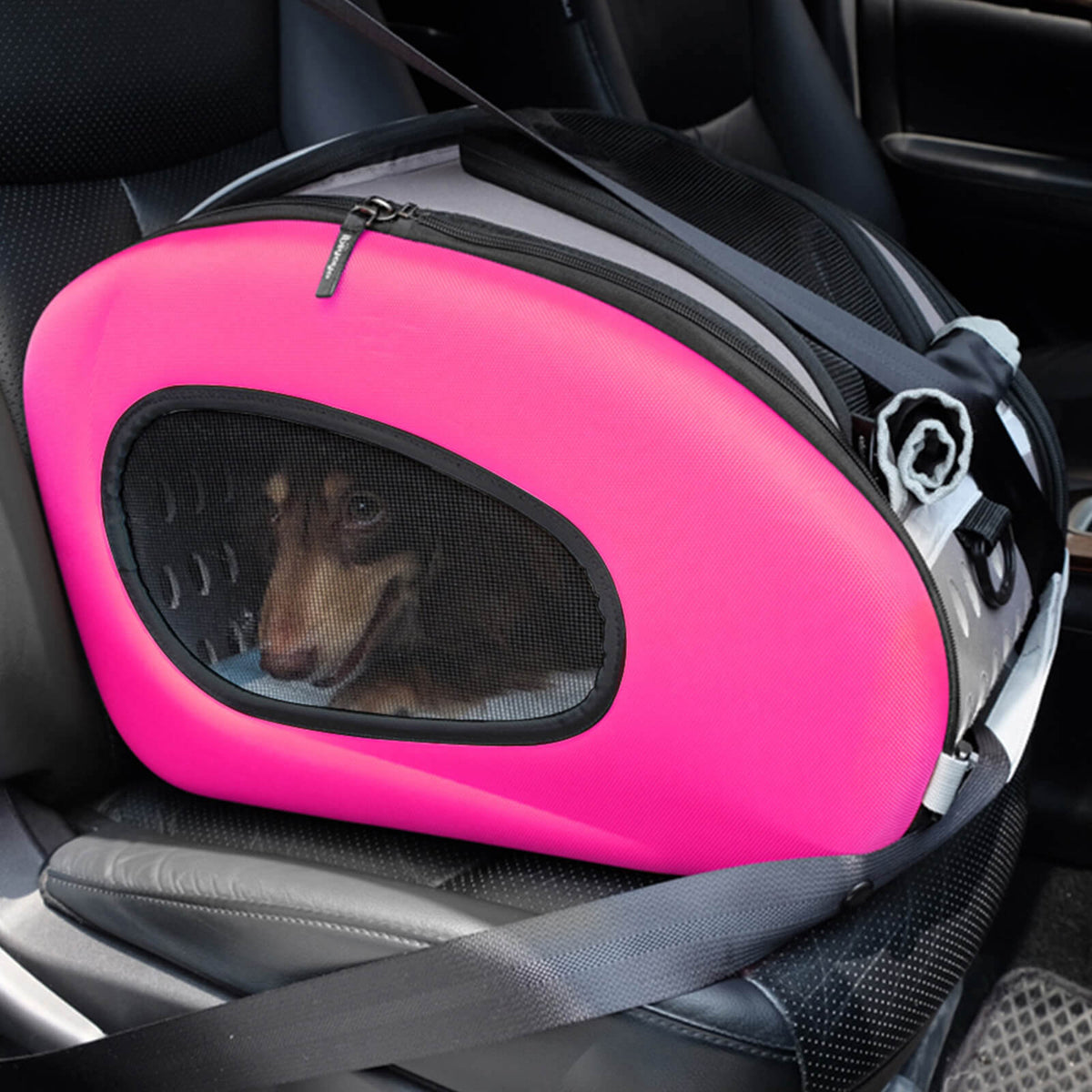 5-in-1 Combo EVA Pet Carrier Stroller Backpack