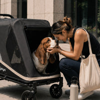 Grand Cruiser Large Dog Stroller, 4-Wheel Dog Pram for Large Breeds, Senior & Injured Pets