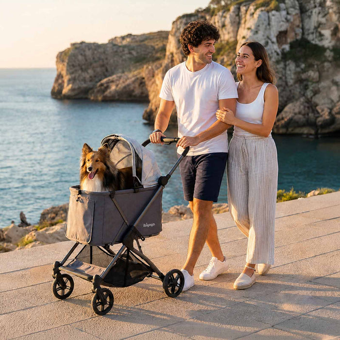 Maxi Deep Carriage Pet Stroller with Puncture-Free EVA-Rubber Wheels