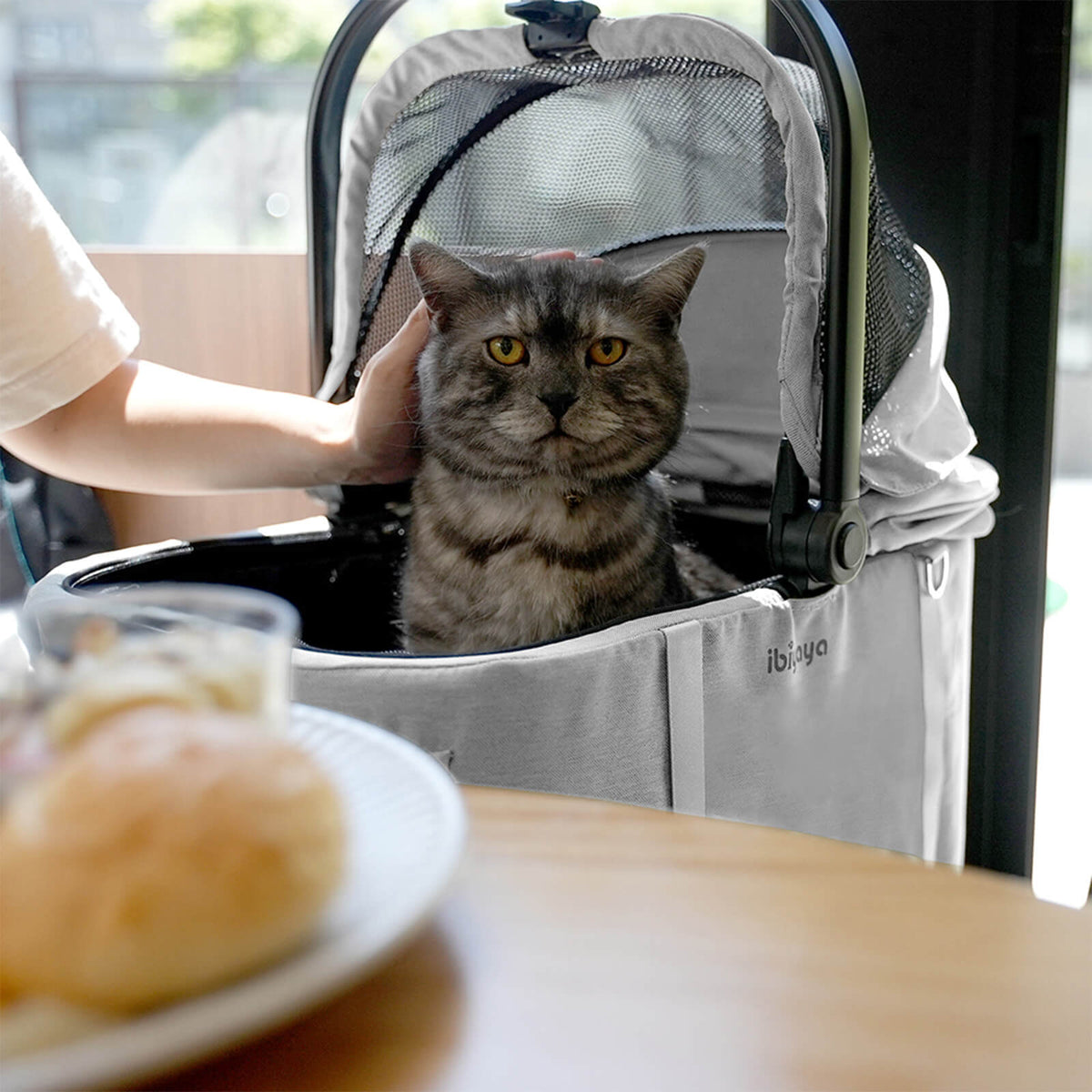 Tinker Small Detachable Pet Stroller – Compact Buggy for Cats & Small Dogs