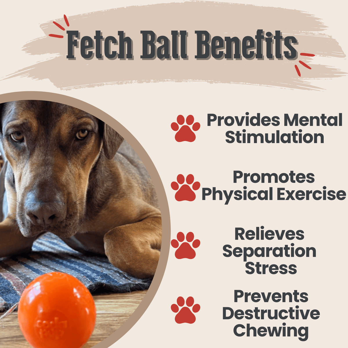 Dog Fetch Balls