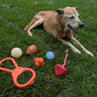 Dog Tug Toys from Farm to Pet