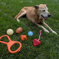 Dog Tug Toys from Farm to Pet