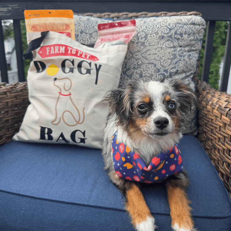 Farm To Pet Tote Bag | Paw-some Gift for Animal Lovers