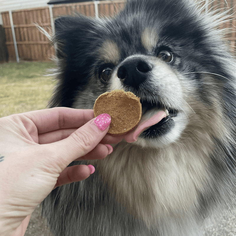 Fish Chips for Dogs | Wild-Caught Fish Dog Treats