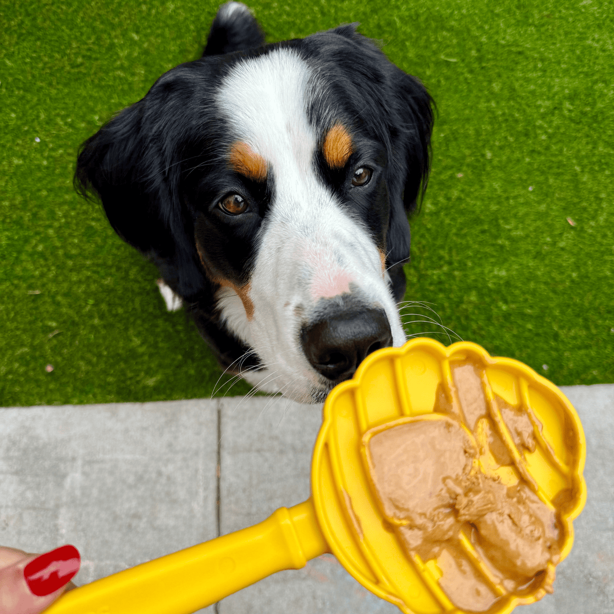 Lick Sticks | Interactive Dog Training Toy
