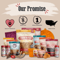 "Dog Mom Era" T-shirt | Paw-fect Gift for Dog Moms