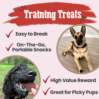 Beef Chips Dog Treats | Single-Ingredient Healthy Treats for Dogs