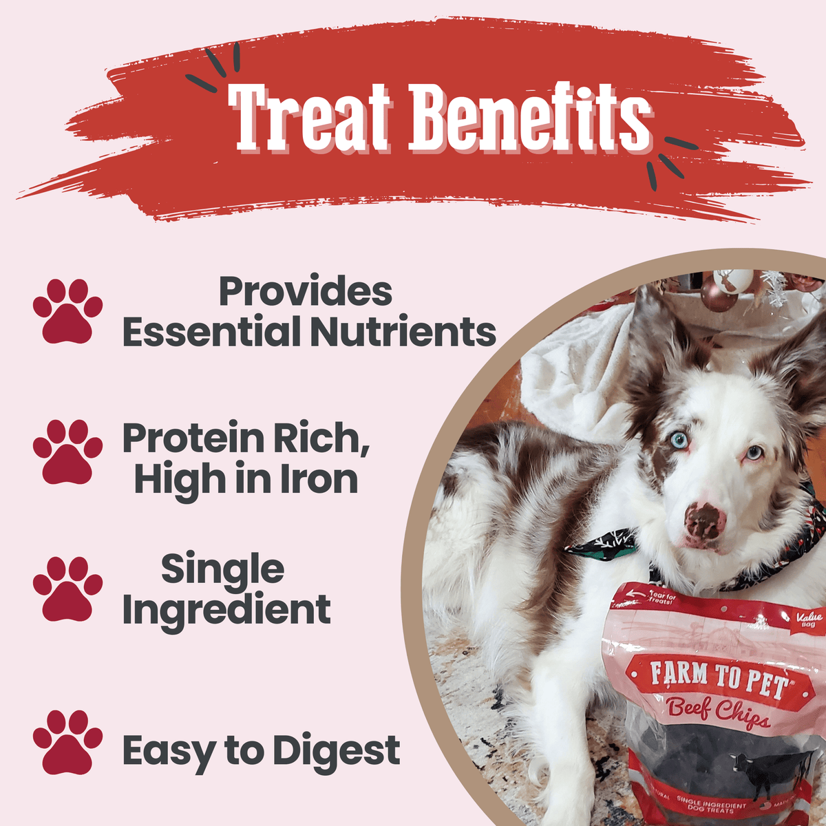 Beef Chips Dog Treats | Single-Ingredient Healthy Treats for Dogs