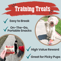 Puppy Packs 'n Snacks Dog Treat Starter Pack | Single-Ingredient Training Treats