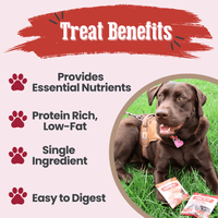Puppy Packs 'n Snacks Dog Treat Starter Pack | Single-Ingredient Training Treats