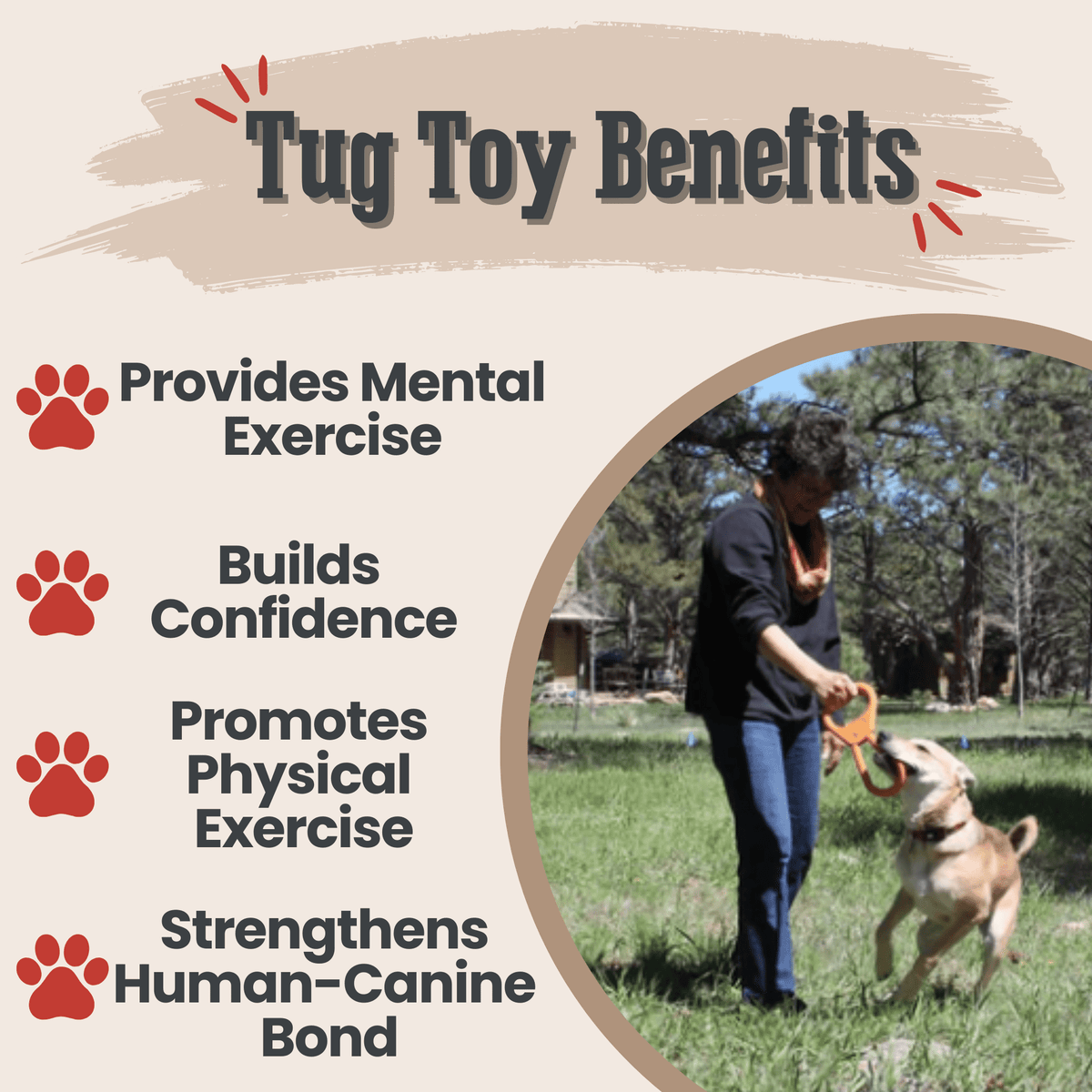 Dog Tug Toys from Farm to Pet