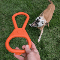 Dog Tug Toys from Farm to Pet