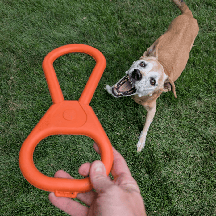 Dog Tug Toys from Farm to Pet