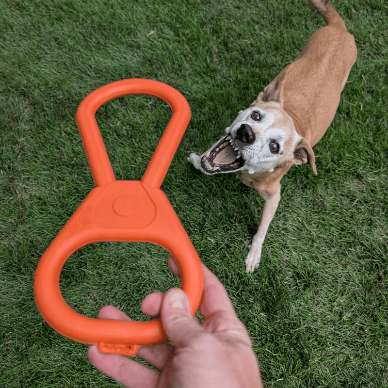 Dog Tug Toys from Farm to Pet