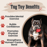 Dog Tug Toys from Farm to Pet