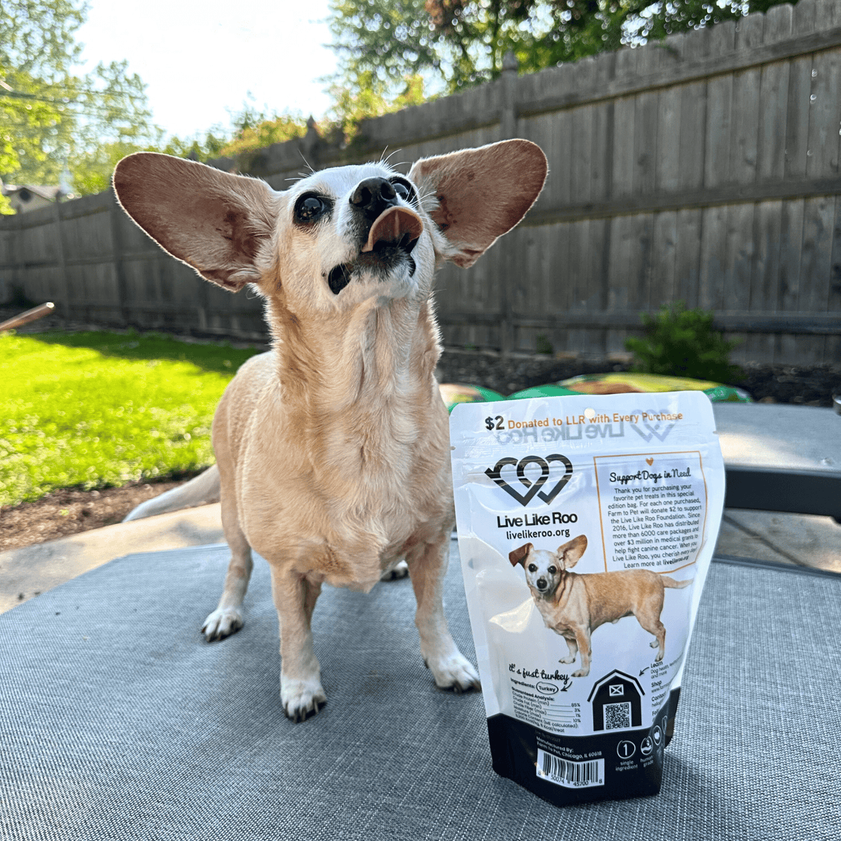 Live Like Roo Turkey Chips for Dogs | Dog Treats That Give Back