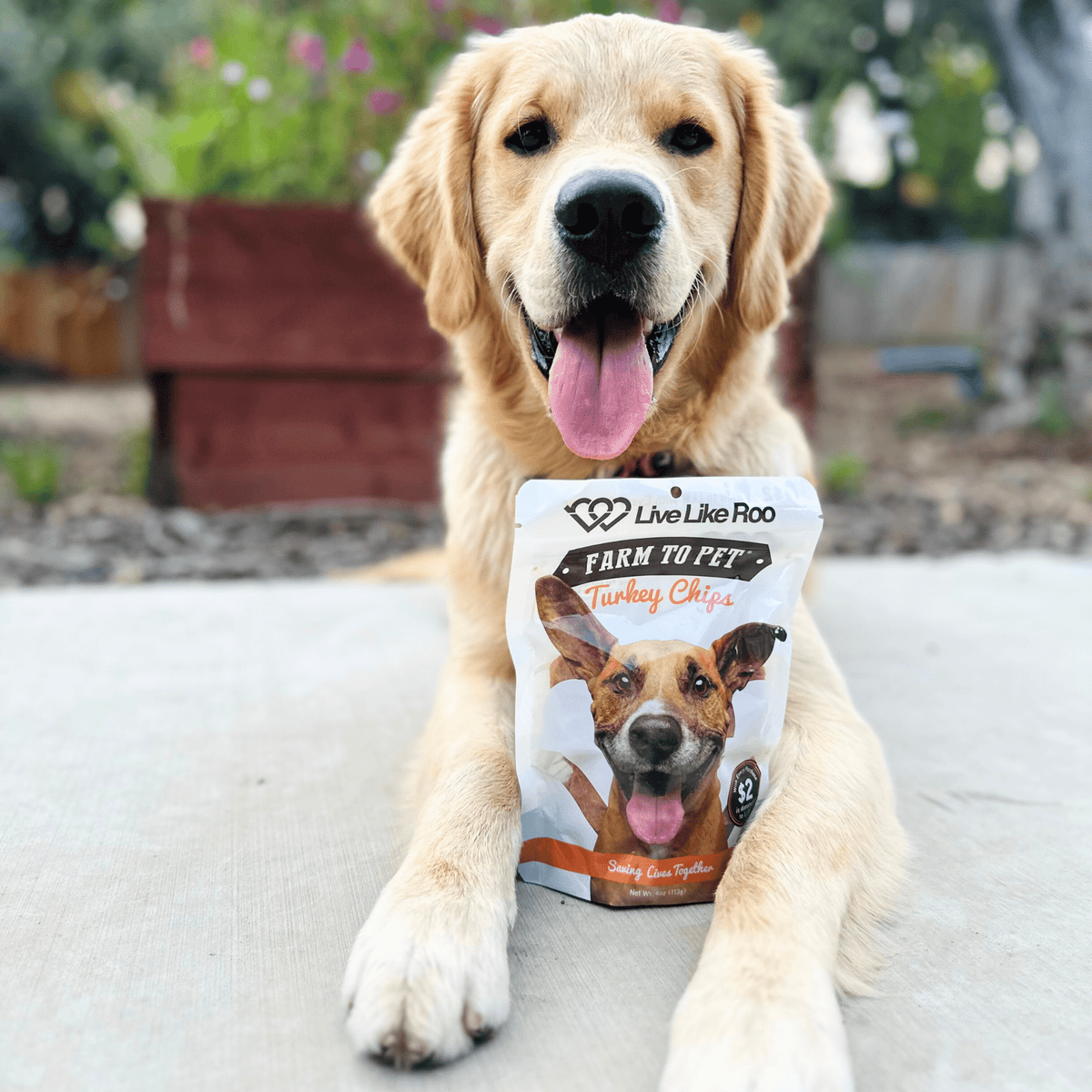 Live Like Roo Turkey Chips for Dogs | Dog Treats That Give Back