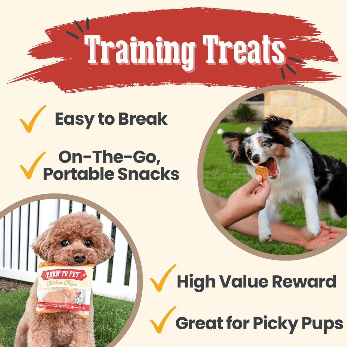 Chicken Chips Snack Pack Bundles | Dog Party Favors & Training Treats
