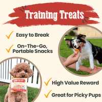 Chicken Chips Snack Pack Bundles | Dog Party Favors & Training Treats