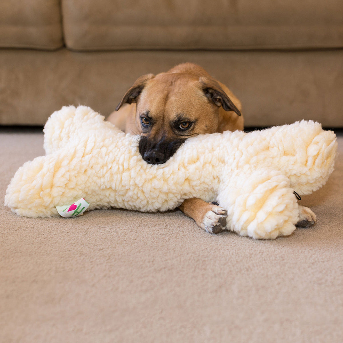 HuggleFleece® 2' Plush Bone Dog Toy