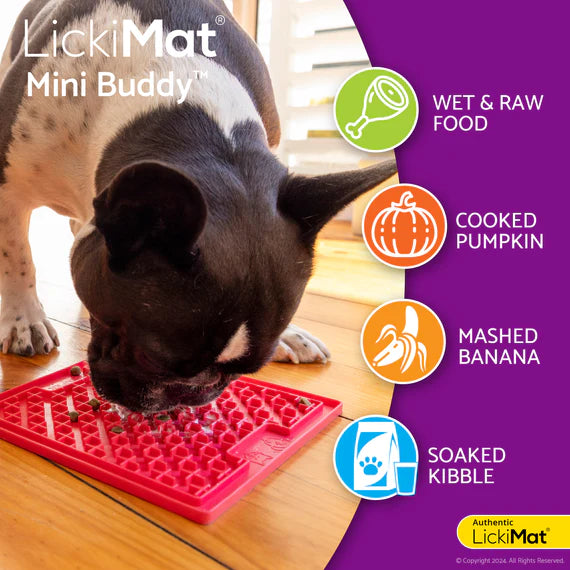 LickiMat Mini Buddy - Purple