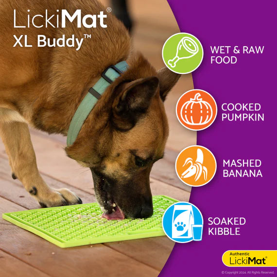LickiMat Buddy X-Large - Turquoise