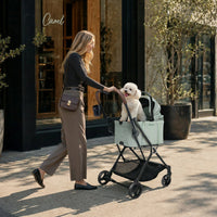 Tinker Small Detachable Pet Stroller – Compact Buggy for Cats & Small Dogs