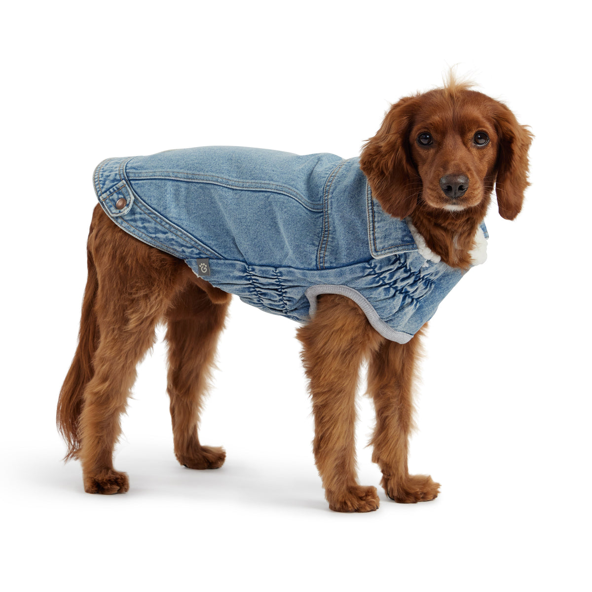 Cloak & Dawggie Denim Patch Dog Harness Vest