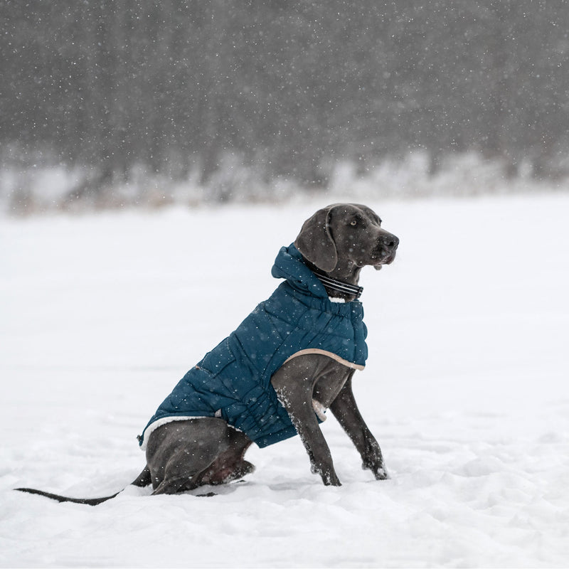 Nordic Parka