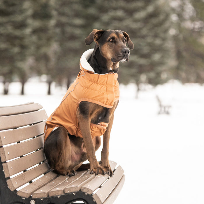 Insulated Pet Raincoat - Hazel