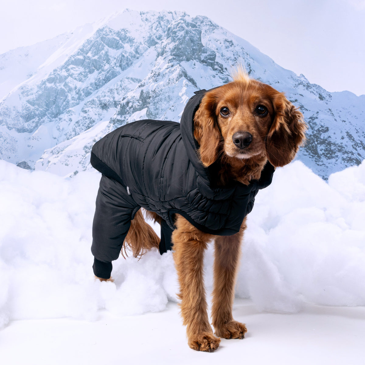 Odyssey Snowsuit