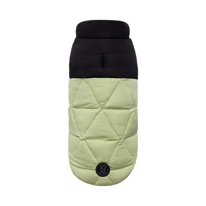 Diamond Puffer