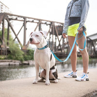 Reflective Leash - Neon Blue