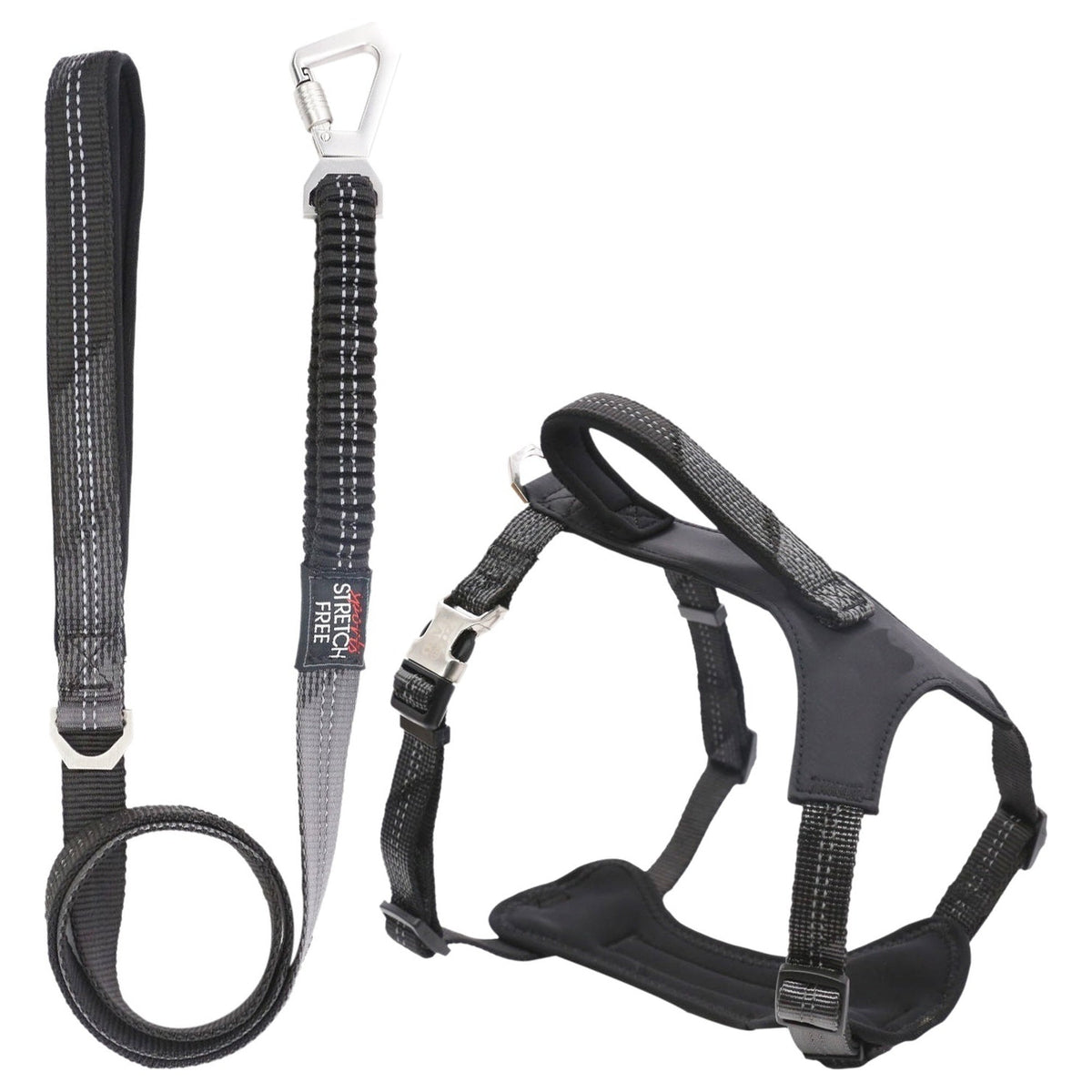 Pet Life ® 'Geo-prene' 2-in-1 Shock Absorbing Neoprene Padded Reflective Dog Leash and Harness