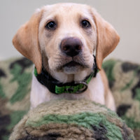 HuggleCause™, Warrior Canine Connection, Camouflage HuggleFleece® Plush Ball Dog Toy