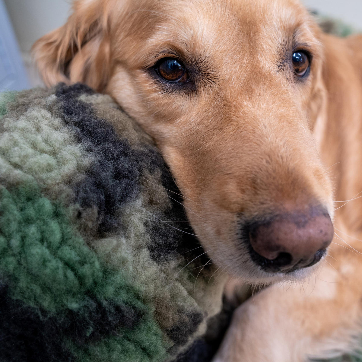 HuggleCause™, Warrior Canine Connection, Camouflage HuggleFleece® Plush Ball Dog Toy