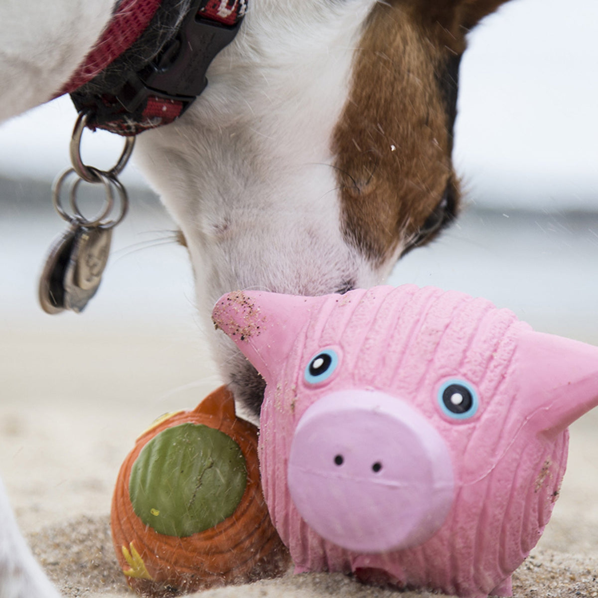 Hamlet Pig Ruff-Tex® Latex Ball Dog Toy, Large
