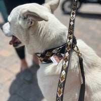 Earth Argyle Beaded Dog Collar
