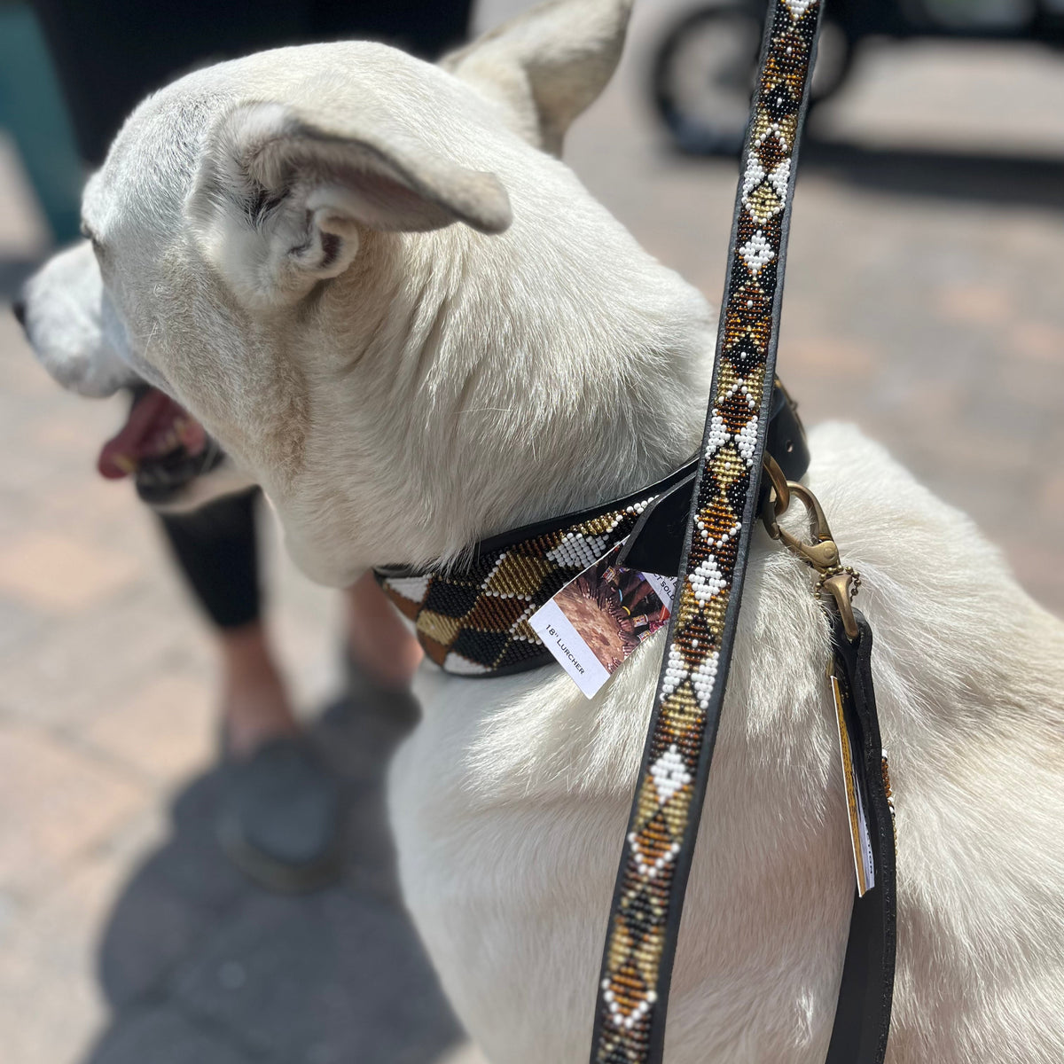 Earth Argyle Beaded Dog Lead