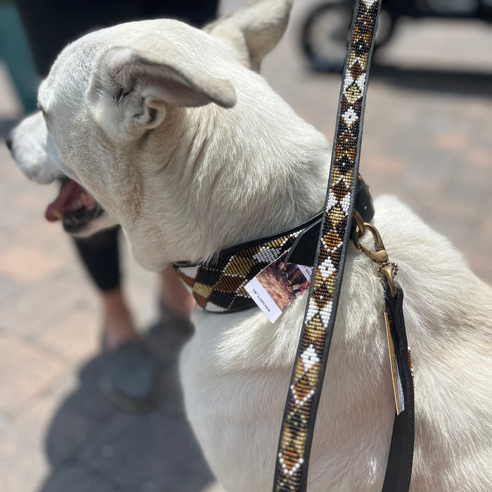 Earth Argyle Beaded Dog Lead