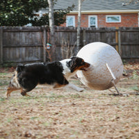 Better Sporting Dogs 25” Heavy Duty Sheep Lookalike Herding Ball for Dogs