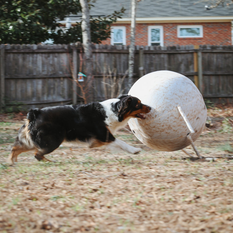 Better Sporting Dogs 25” Heavy Duty Sheep Lookalike Herding Ball for Dogs
