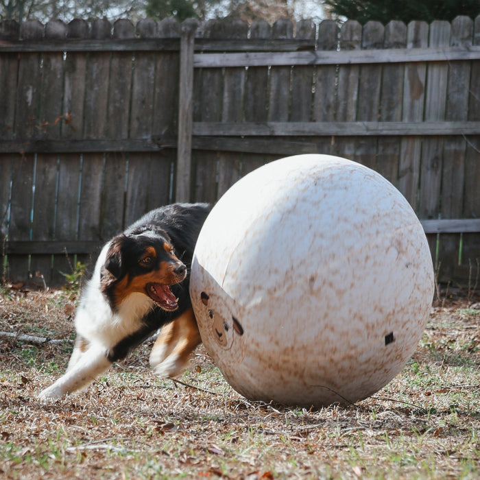 Better Sporting Dogs 25” Heavy Duty Sheep Lookalike Herding Ball for Dogs