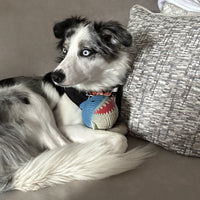 Finn the Shark Ruff-Tex® Latex Ball Dog Toy, Large