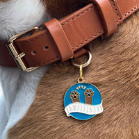 Pawsitivity Pet ID Tag