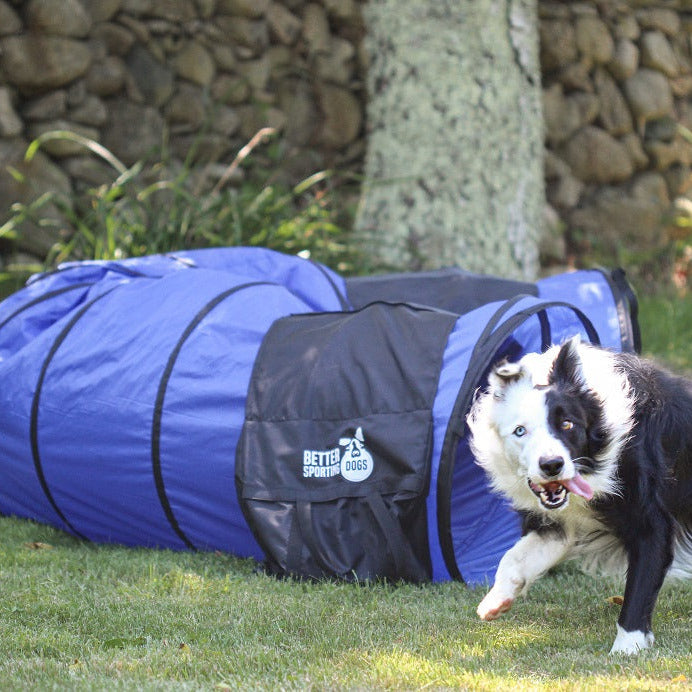 Better Sporting Dogs 16 ft Dog Agility Tunnel with Sandbags –  Training Tunnel for Backyard Agility Courses