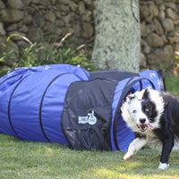 Better Sporting Dogs 16 ft Dog Agility Tunnel with Sandbags –  Training Tunnel for Backyard Agility Courses